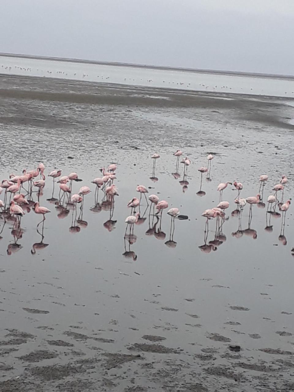 Elilo Bed And Breakfast Walvis Bay Exterior foto