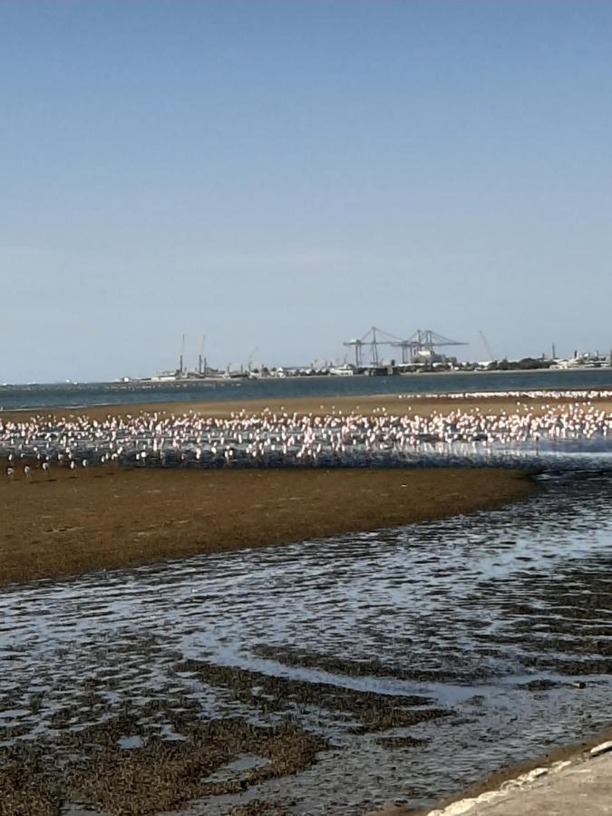 Elilo Bed And Breakfast Walvis Bay Exterior foto